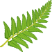 Kundax